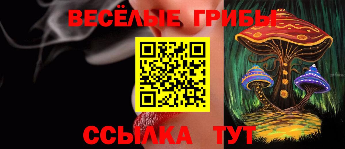 Псилоцибиновые грибы Psilocybine cubensis  Псилоцибиновые грибы Psilocybine cubensis  Краснокаменск  Вход с VPN 